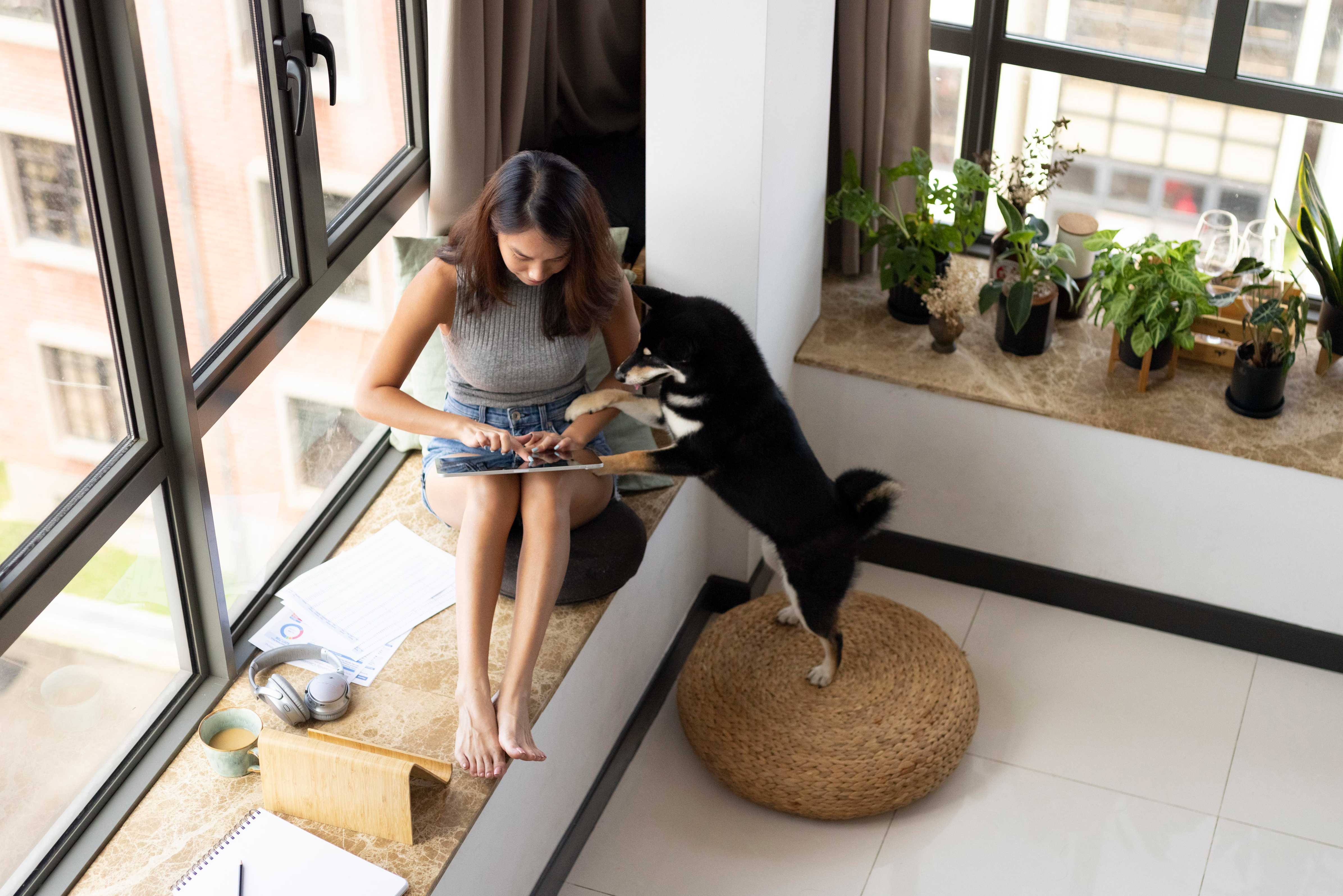 Modern window invisible grill designs in hanamkonda