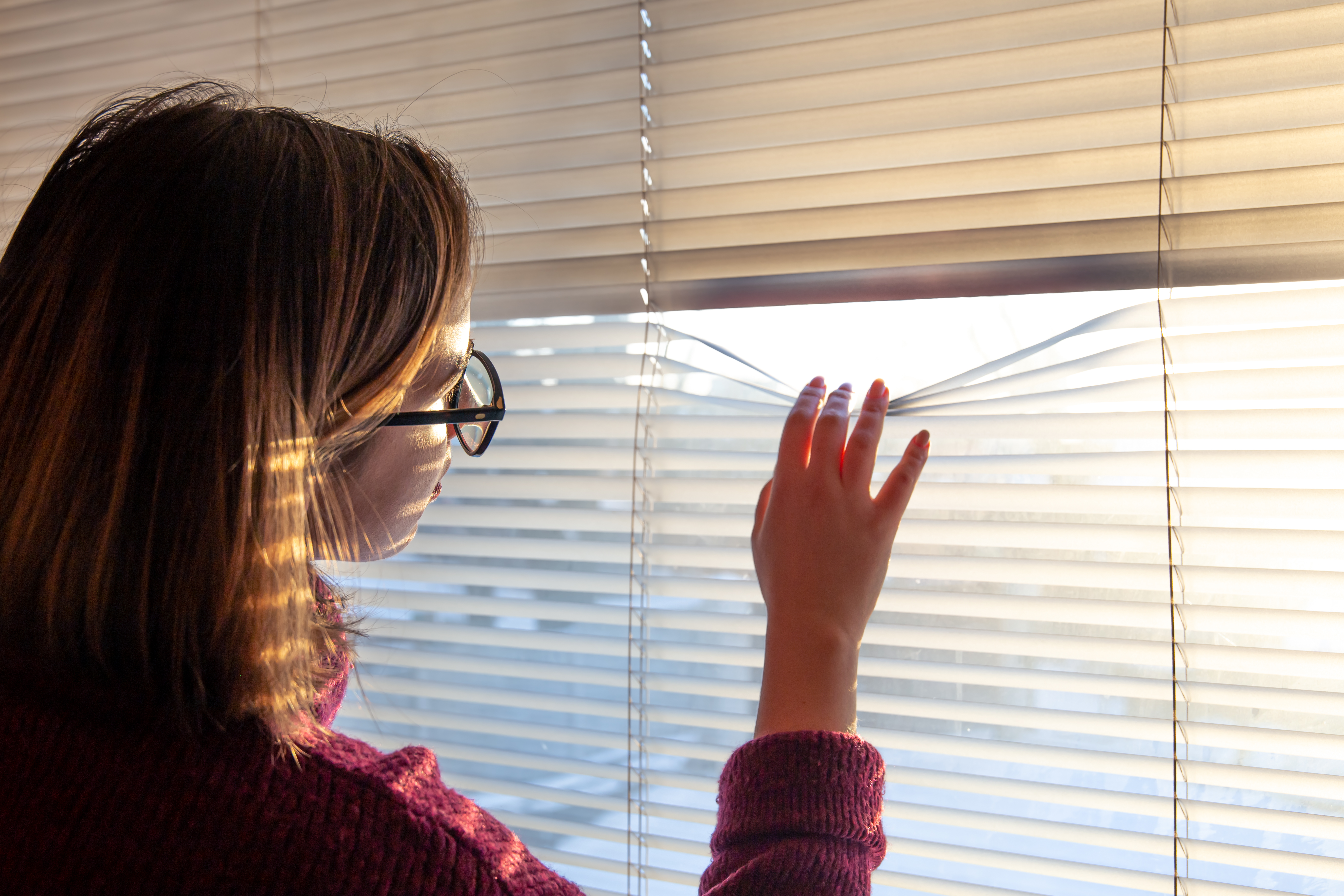 Window blinds for home